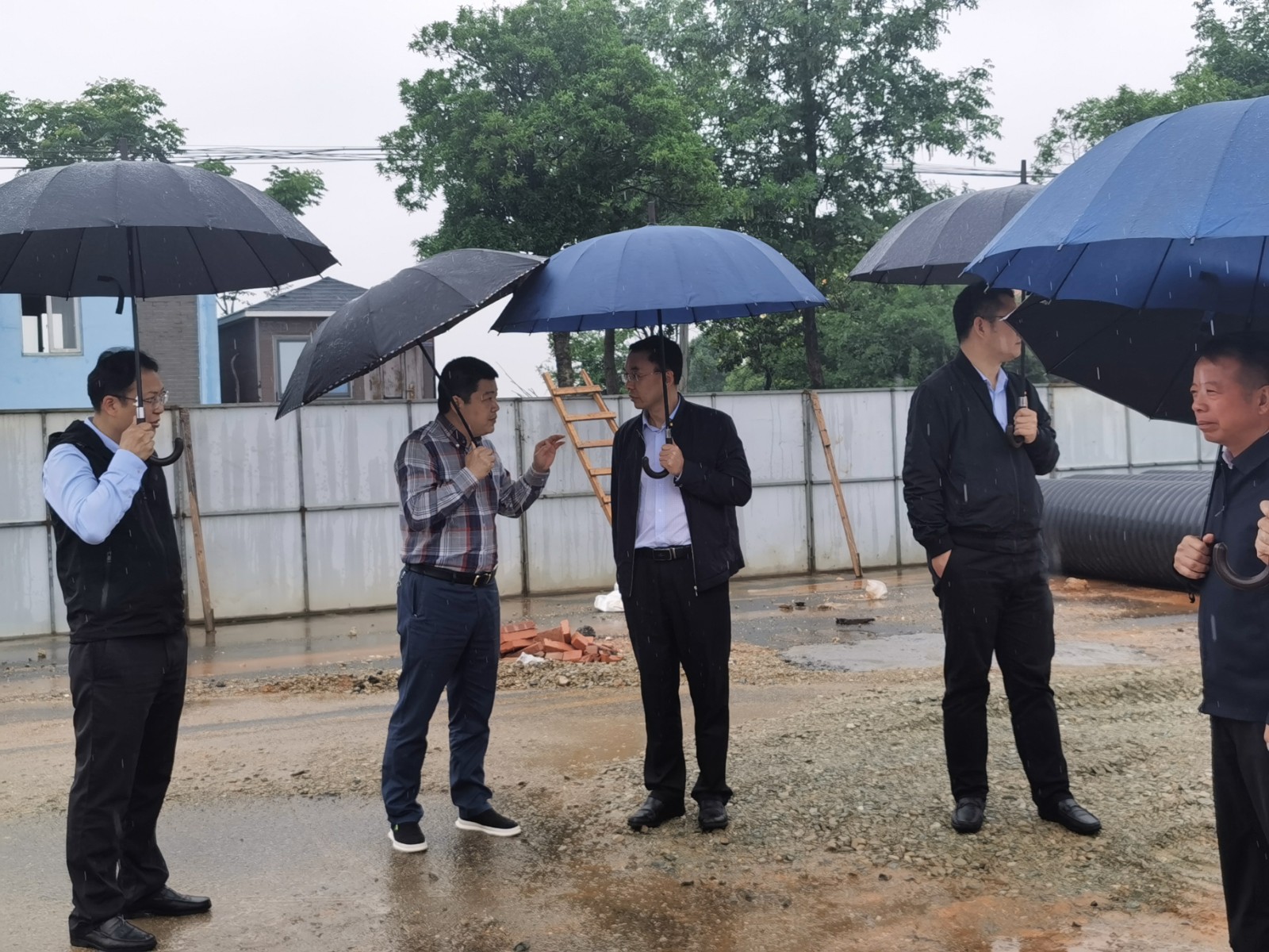 IMG_20210519_102200.jpg IMG_20210519_102200.jpg